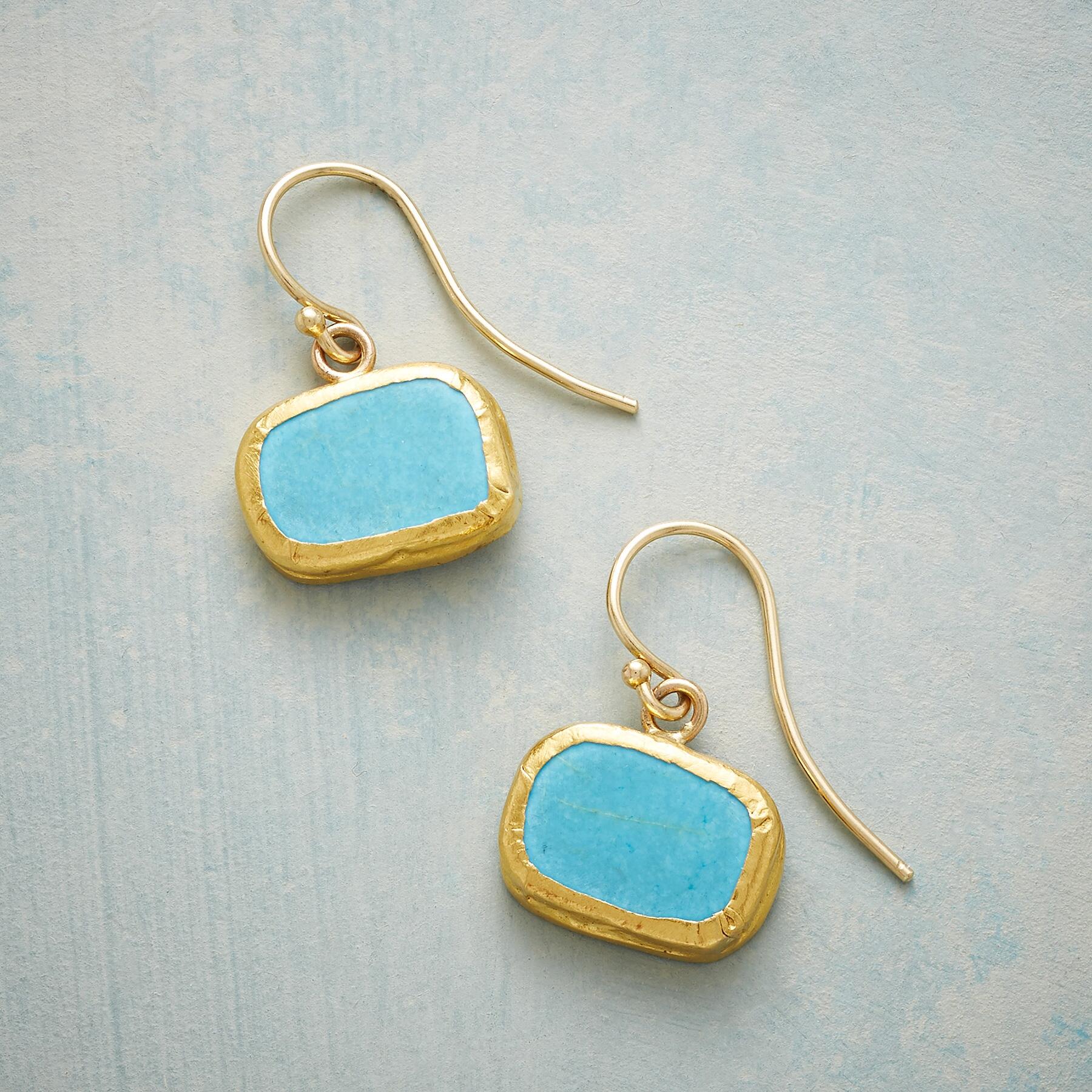 Premium Shoreline Earrings